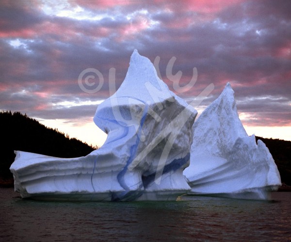 Herring Neck, iceberg at dusk